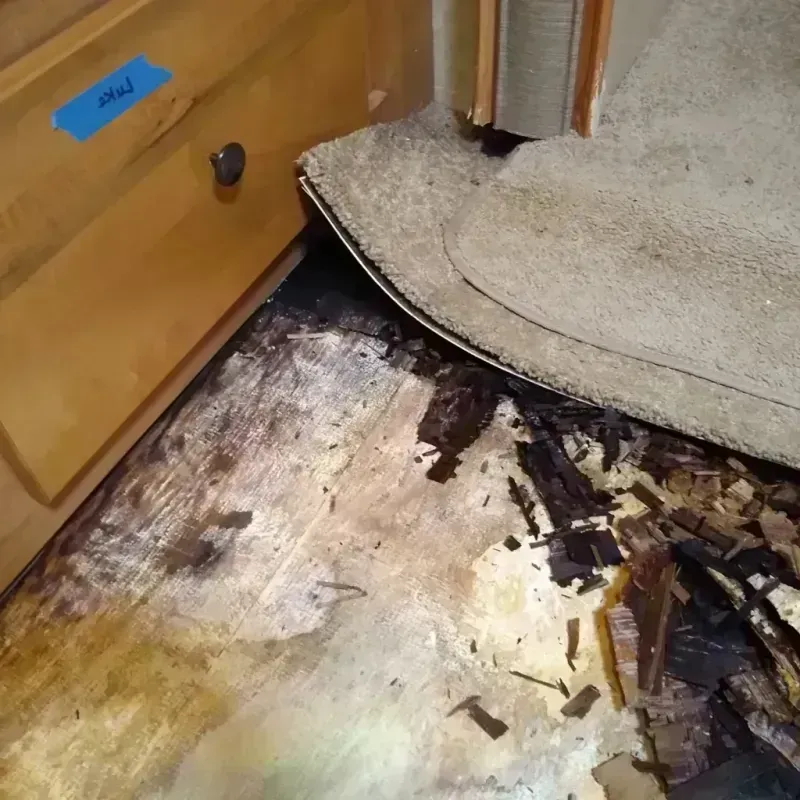 Wood Floor Water Damage in Strum, WI